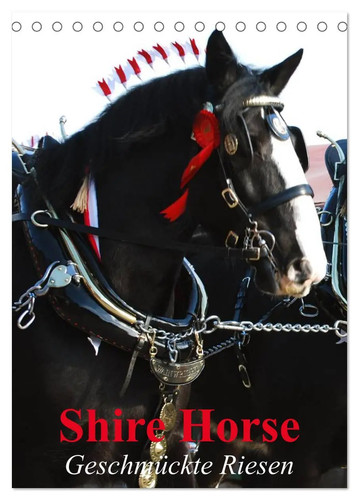 Shire horse geschmückte - shire,