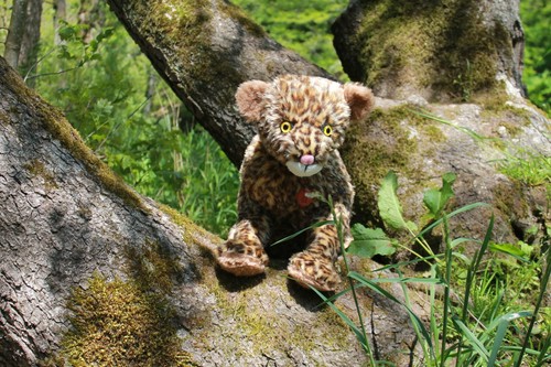 Künstlerteddy leonard unikat - künstlerteddy,