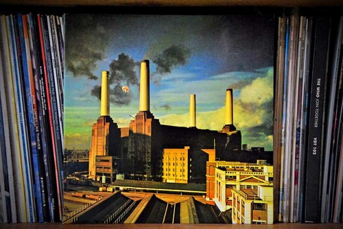Pink floyd animals album - animals,