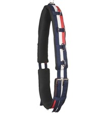 John Whitaker Longierroller