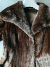 Nerz saga mink - mink, royal