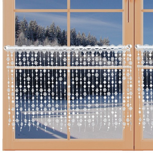 Wintergardine schneesternchen - wintergardine,