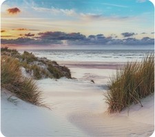 Maximex Multiplatten