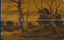 R017922 Dammerung im Moor