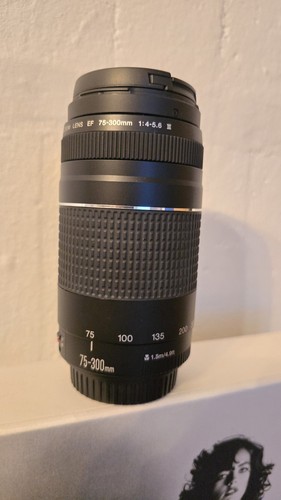 Canon 300 4 - f/4-5.6, iii