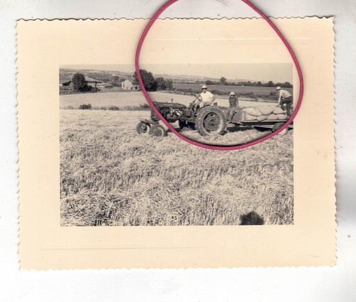 Photo foto traktor schlepper - photo,