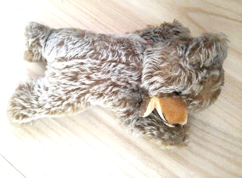 Liegender teddy bär - liegender, bär,