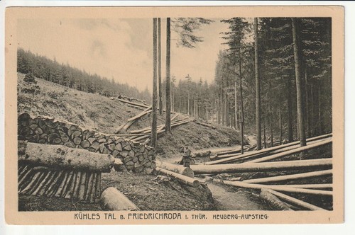 Friedrichroda kühles - ak, ,