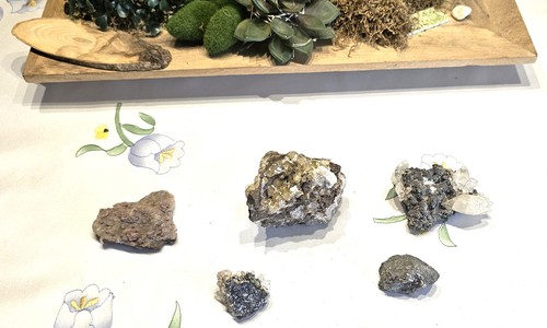 Exquisite sammlung - exquisite,