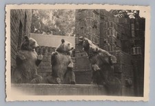 Leipzig zoo bärengehege - leipzig,