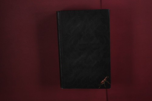 434059 stephen king das - stephen,