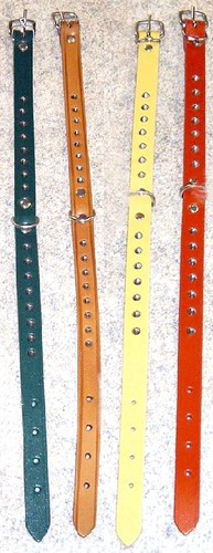 Halsband leder mit - halsband, ziernieten