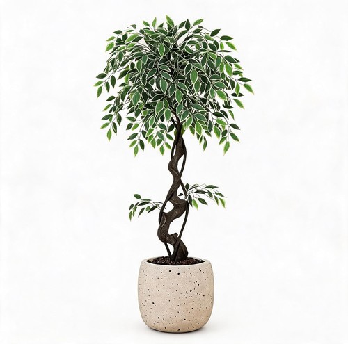 Künstliche pflanze ficus - pflanze,