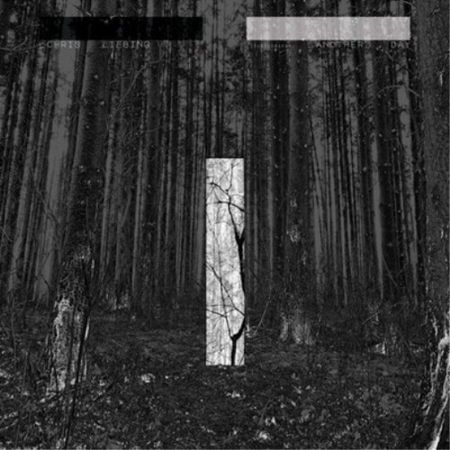 Chris liebing another day - chris,