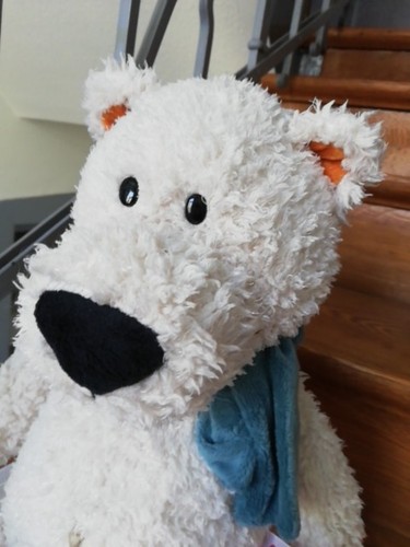 Nici eisbär bicnic - bicnic,, ca