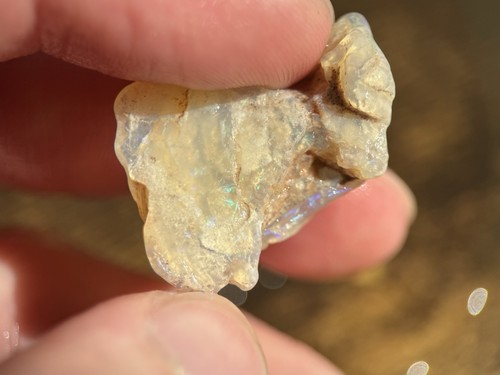 Coober pedy fossile opal - pedy,