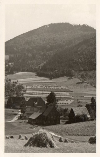 ♥️♥️♥️Zittauer