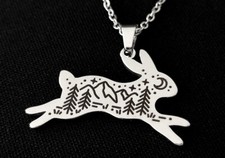 Magie wald hase kaninchen - hase,