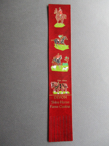 Leder lesezeichen devon - lesezeichen,