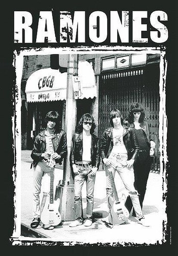 Ramones flagge fahne cbgb - flagge, cbgb's