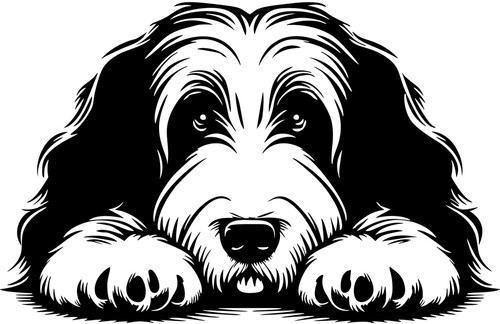 Bearded collie aufkleber - bearded,