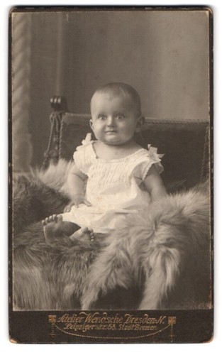 Fotografie bruno wendsche - fotografie,