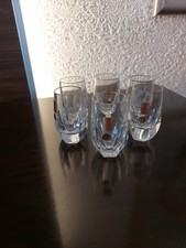 Nachtmann Bleikristall Schnapsgläser 6 Stück  Dekorativ Top Zustand 