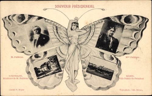 Schmetterling armand - schmetterling,