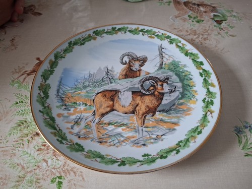 Teller mit alpenmotiv - mit,