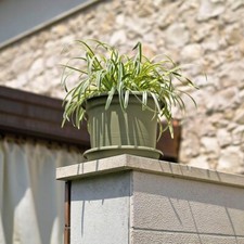 Blumentopf mit Untersetzer 50