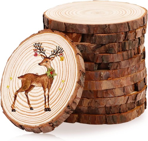 10x holzscheiben 10cm - 10x,