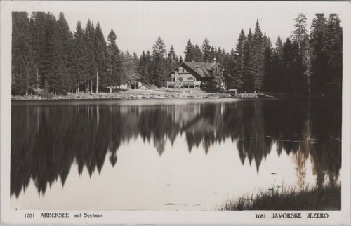 Foto arbersee mit - arbersee, seehaus