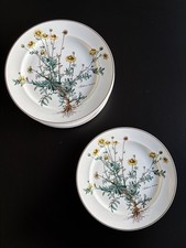 Villeroy Boch Botanica