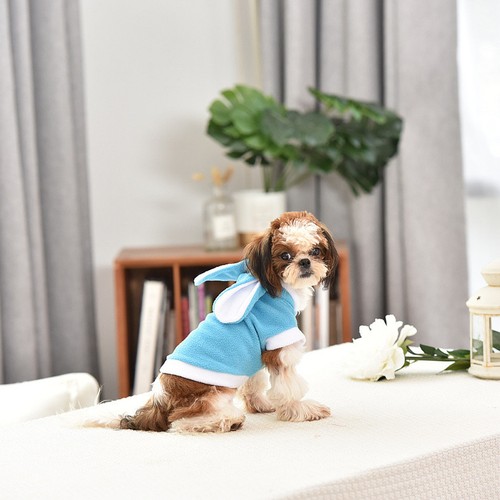 Hunde anziehsachen - hunde,