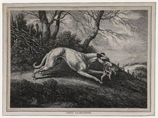 William Samuel Howitt (c.1765-1822) - 19. Jahrhundert Stich, Der Lurcher.