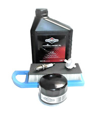 Wartung-Kit für Briggs Stratton  Intek OHV 1 Zyl. Motoren 795115, MTD 697634