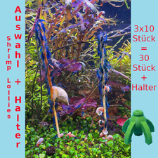 Shrimp-Lollies Auswahl + Halter // 3x10 Stück // Garnelen Futter // *AKTION*