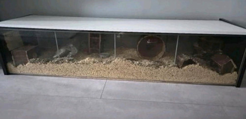 Großes nagarium inklusive - großes,