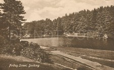 Dorking Friday St Pond England