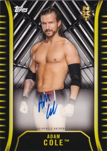 Adam cole card - cole, |