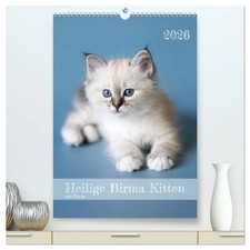 Heilige Birma Kitten Kalender