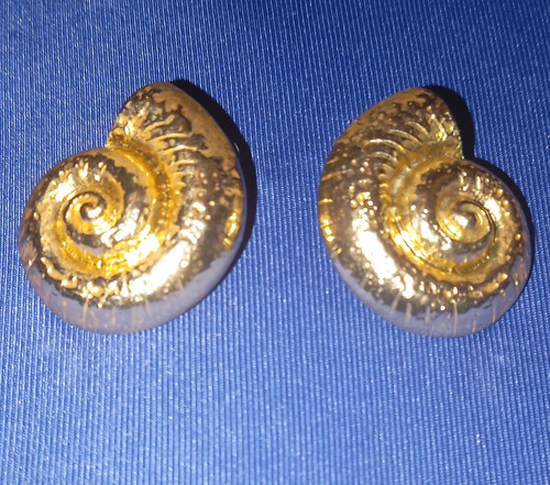 Muschel spirale ohrstecker - muschel,
