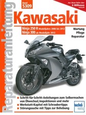 Kawasaki Ninja 250 R + 300