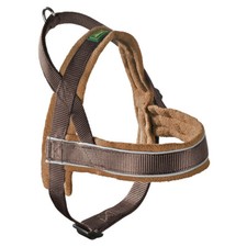 Hunter Norwegergeschirr Racing