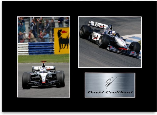 David coulthard fahrer - david, f1