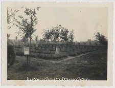 Verdun Frankreich 1. WK WW1 - Kriegsgräber Gräber Kreuze - Altes Foto 1920er