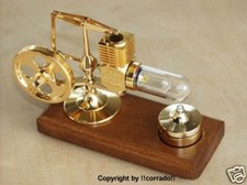 Vergoldet hog stirling - ,