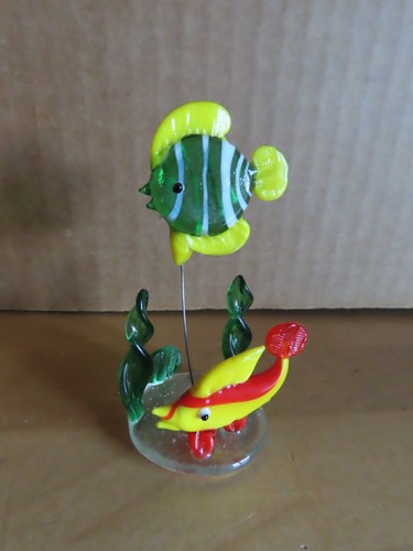 Kleine fische aus - aus, auf