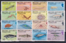 Britische Antarktis 1984 Algen