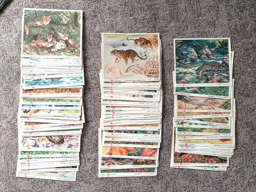 150 kunstbilder bilder für - kunstbilder,